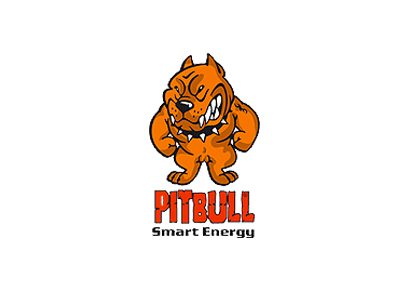 Pit Bull Energy